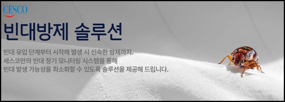 빈대-방역-업체